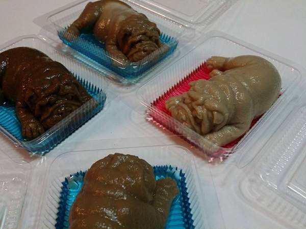 恐怖沙皮狗,沙皮狗恐怖视频