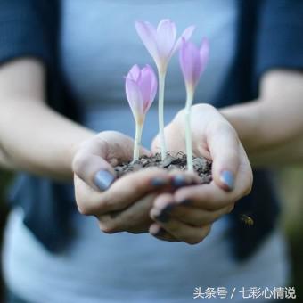 只有自己明白选择了就没有回头路,既然已经选择了放弃就不要回头