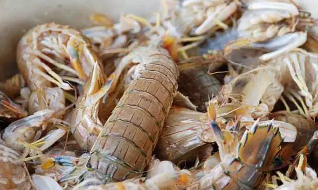 大连海鲜6月份,大连海鲜季节表