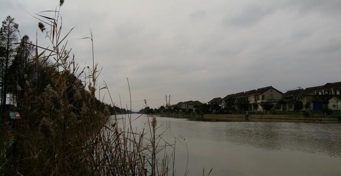 有毛不算秃含义,有毛不算秃怎么回复