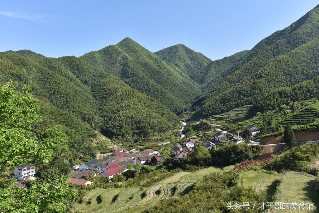 自己动手做茶的感受,自己做茶叶怎么做