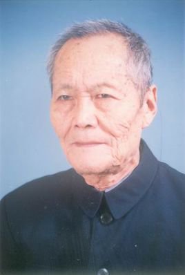 徐州的历史名人及成名原因,徐州籍睢宁县名人一览表