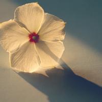 诗词写作36种技法,诗词技法36种