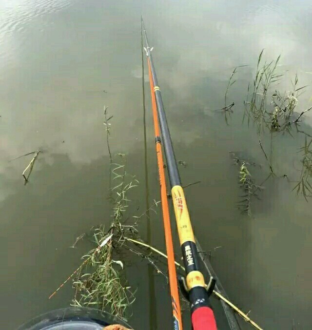 浮钓鲢鳙怎么钓最省钱,冬季海竿钓鲢鳙浮钓还是底钓好