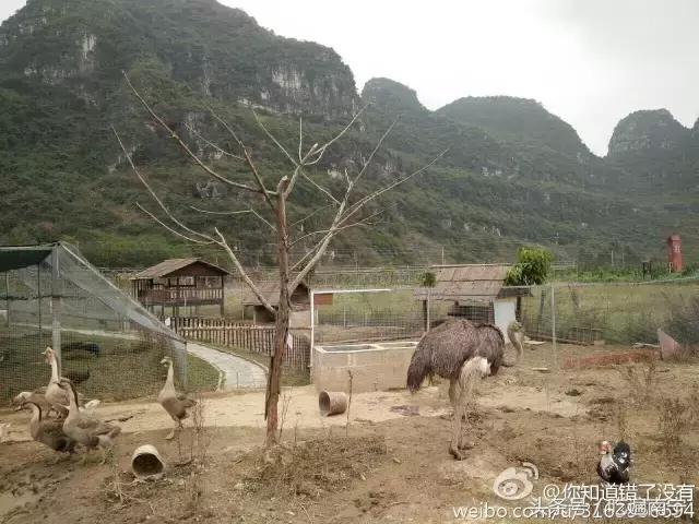 上林旅游有什么好玩的地方,上林好玩地方攻略必去景点