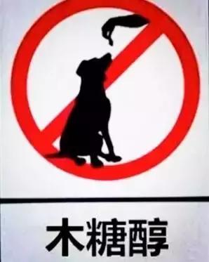 对狗狗最有害的水果,对狗致命的10种花