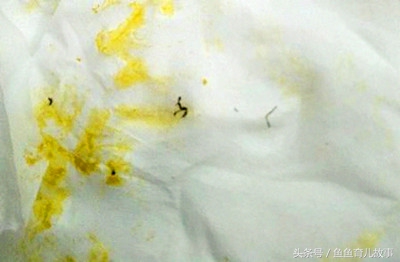 宝宝拉出红色的虫,宝宝拉出来有黑色虫子