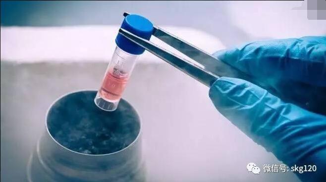 病人治疗注意事项,病人最后阶段到底要不要治疗