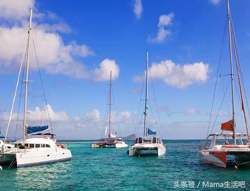 陈柏霖斑马外套同款,陈柏霖同款鞋子