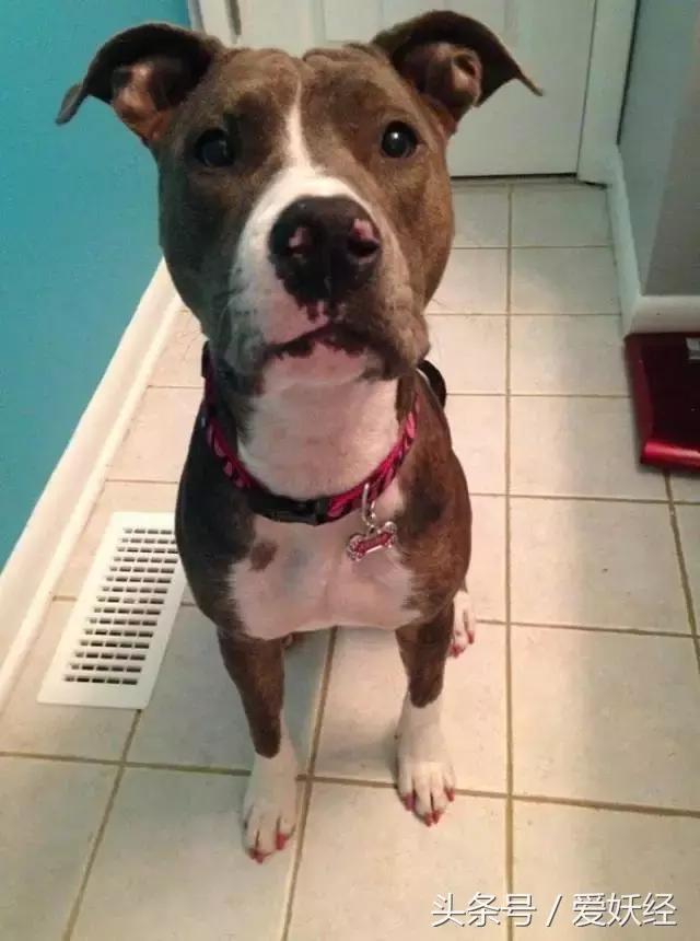 爱妖经｜亲子装，亲子包……现在连美甲都要同款了？