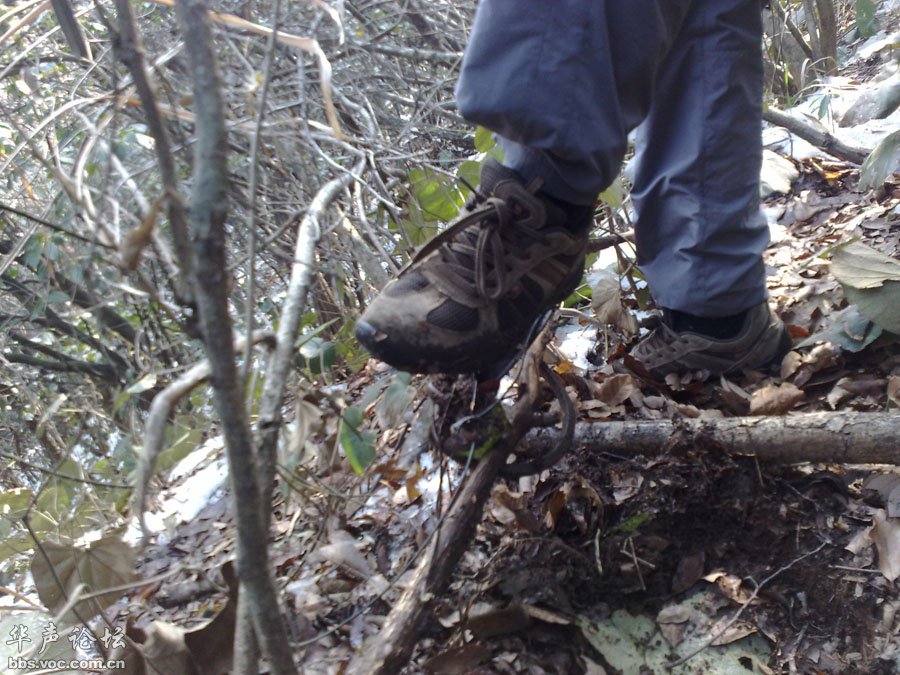 让农村人既恨又离不开的四样东西，知道一样算你牛！