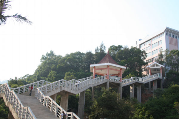 福建省内性比价超高的大学(本二的分数,本一的证书)