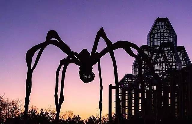 渥太华之旅,纽约时报精读