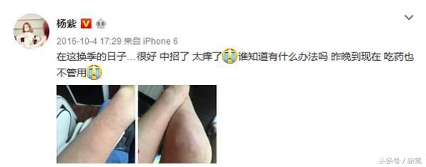 扒开女明星的化妆包|看完倪妮的化妆品我觉得井柏然养不起她