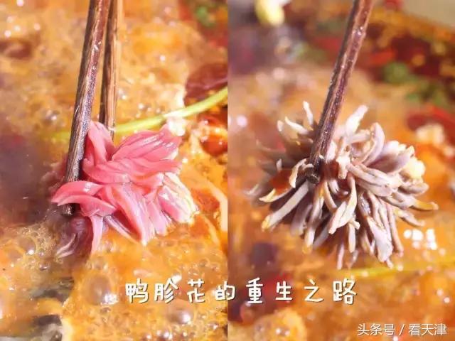 美蛙鱼头火锅2人,天津滨海新区美蛙鱼头火锅