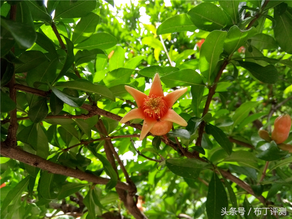 裸眼真能体验震撼出屏？这款裸眼3D手机告诉你答案！