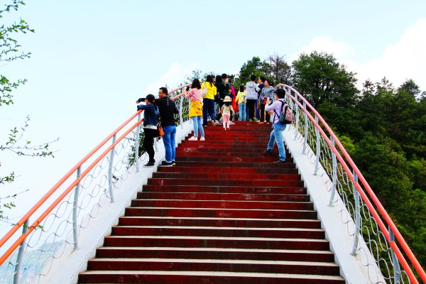 神农架有几个洞,神农架有一个神秘的深谷
