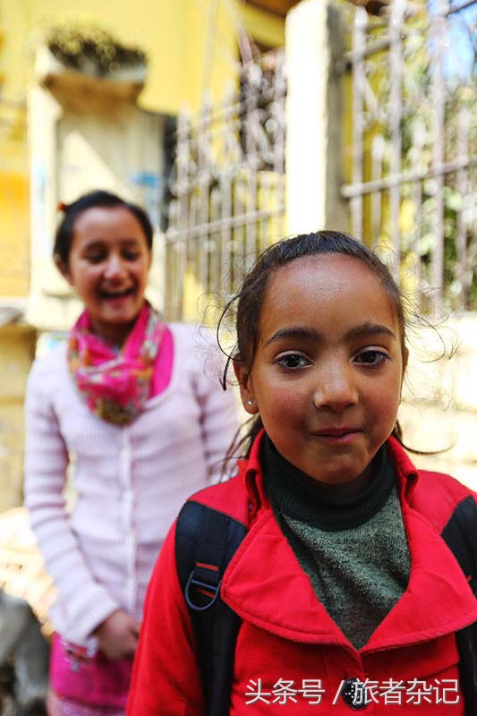 印度大吉岭红茶有几个品牌,印度大吉岭红茶品种