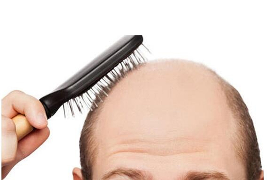 这味中药磨粉连喝两个月可有效治疗脱发