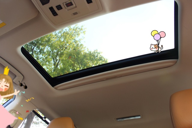 雷克萨斯es300h怎么样?看我的小伙伴怎么说!