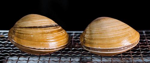 4招鉴别“毒海鲜”，厦门人买海鲜都要学着点