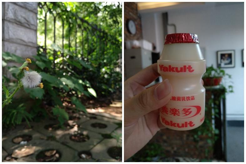 小米max2对比max3测评,小米max2升级安卓9