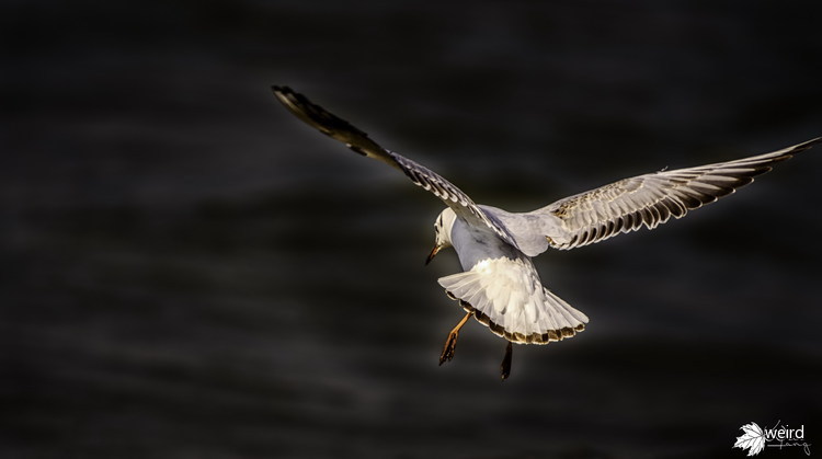 秦皇岛日落最佳拍摄,最美日出日落摄影