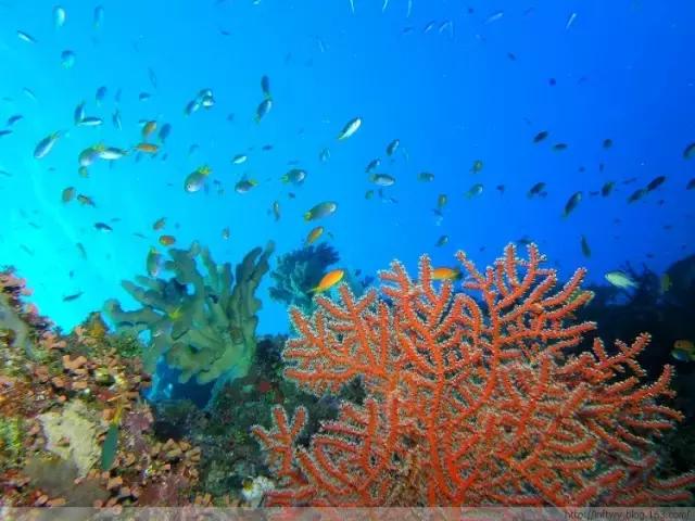 今年倒数第二天就放假了怎么回事,再坚持一天就放假了