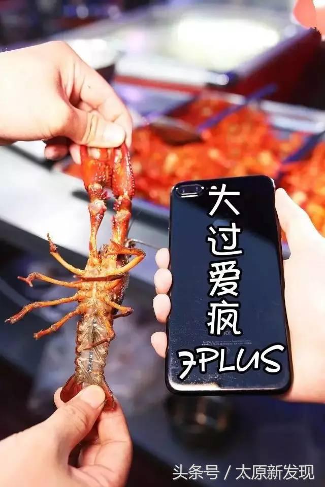 郑文琪龙虾盖浇饭,专做龙虾盖浇饭