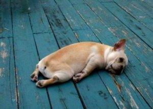 服气最多的六个方法,服气最多的六个方式