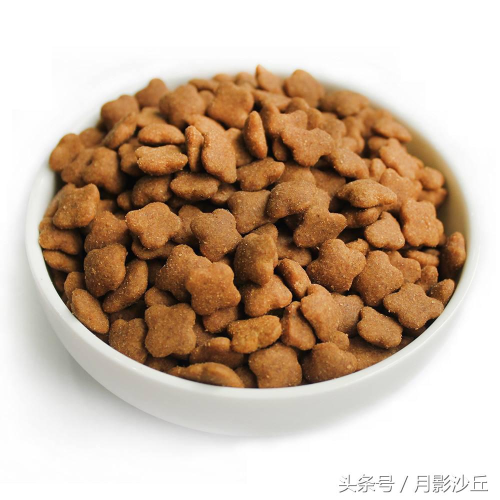 泰迪犬的饮食习惯和禁忌,泰迪犬的健康饮食方法