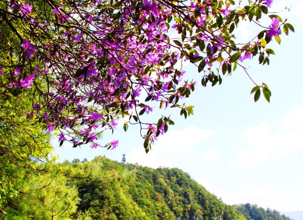 神农架有几个洞,神农架有一个神秘的深谷