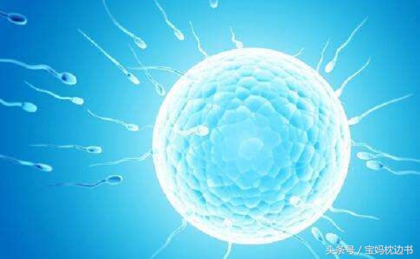 开始备孕也要注意些什么,开始备孕需要注意哪些