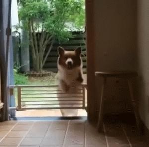 你知道我练习了多少次,才等来这精准一刻