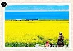 哪里的花海合适拍婚纱照,北京花海婚纱照