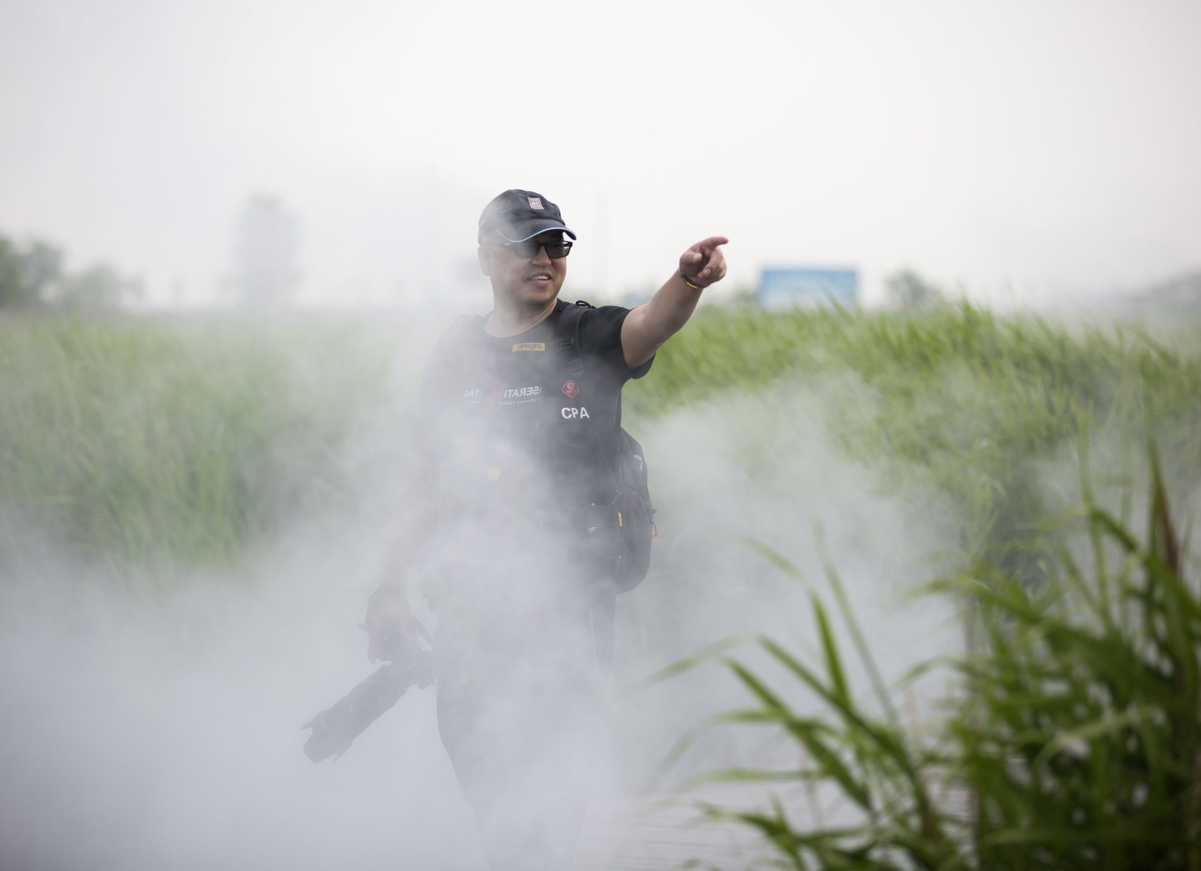 曹妃甸曹妃事件,曹妃甸区曹妃