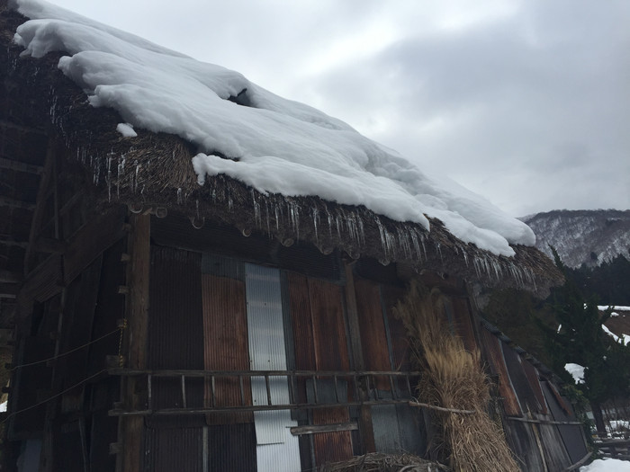 日本的冬天依旧色彩绚烂,冬季日本的冰雪阳光