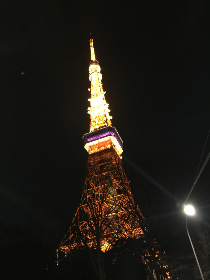 日本的冬日暖阳,日本的冰雪世界
