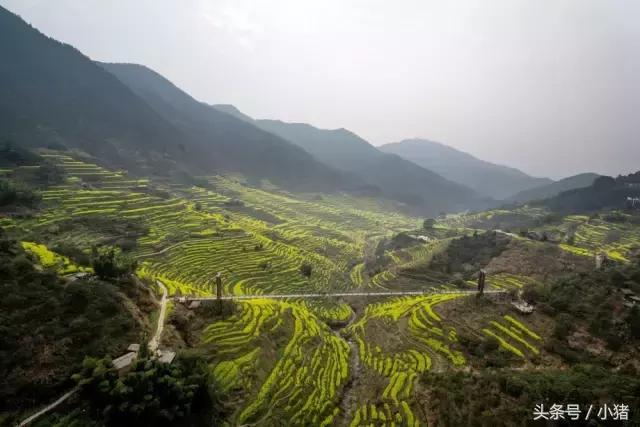 关关谢童打卡篁岭,关关和谢童去婺源是哪一集