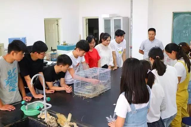 这一批小云雀的命运：有人捉住它们，有人救助它们，今天被放生