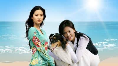 适合孩子看的八部动物电影,小朋友可以看的与动物有关的电影