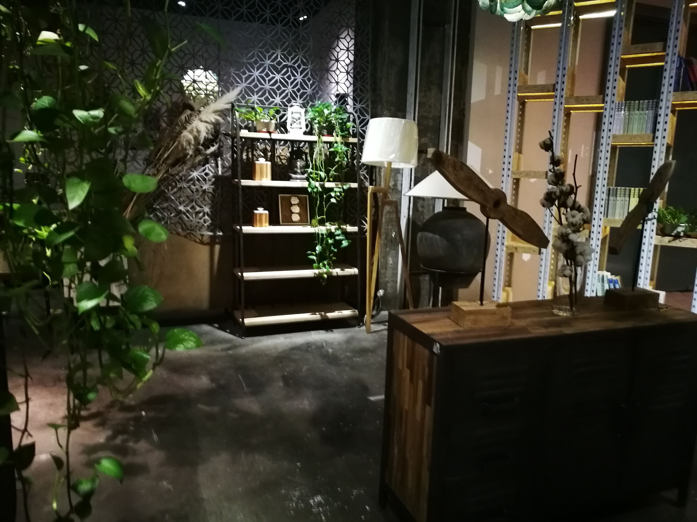 三亚小众书店推荐,三亚湾红树林书店