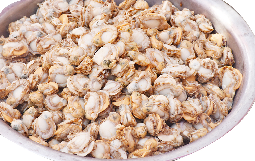 经典海鲜摄影图片,鲜活海鲜摄影技巧