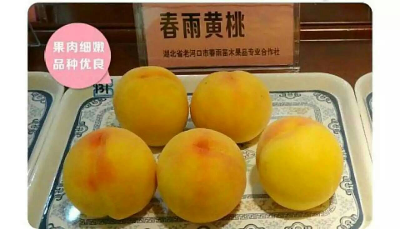 有蕡其实：爱上诗老河口黄桃杯诗歌全国征文大赛获奖作品展播