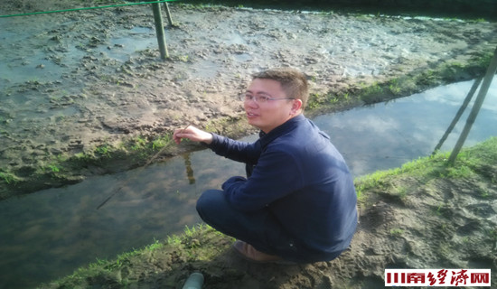 泸州：叙永红村青蛙唱响致富路