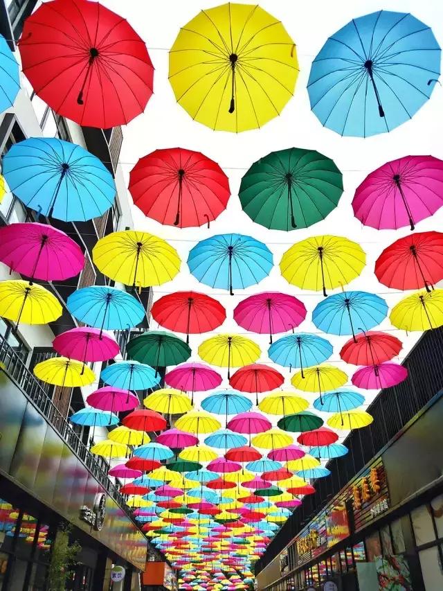 第1组｜玩转手机摄影思锐光学年度手机摄影大赛海选入围