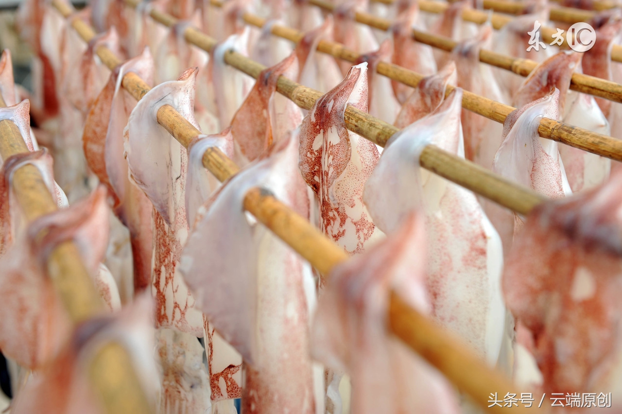 念佛诵经的专用佛珠,念佛送的礼物