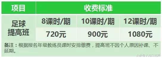 薛之谦武汉演唱会,想要薛之谦演唱会门票文案