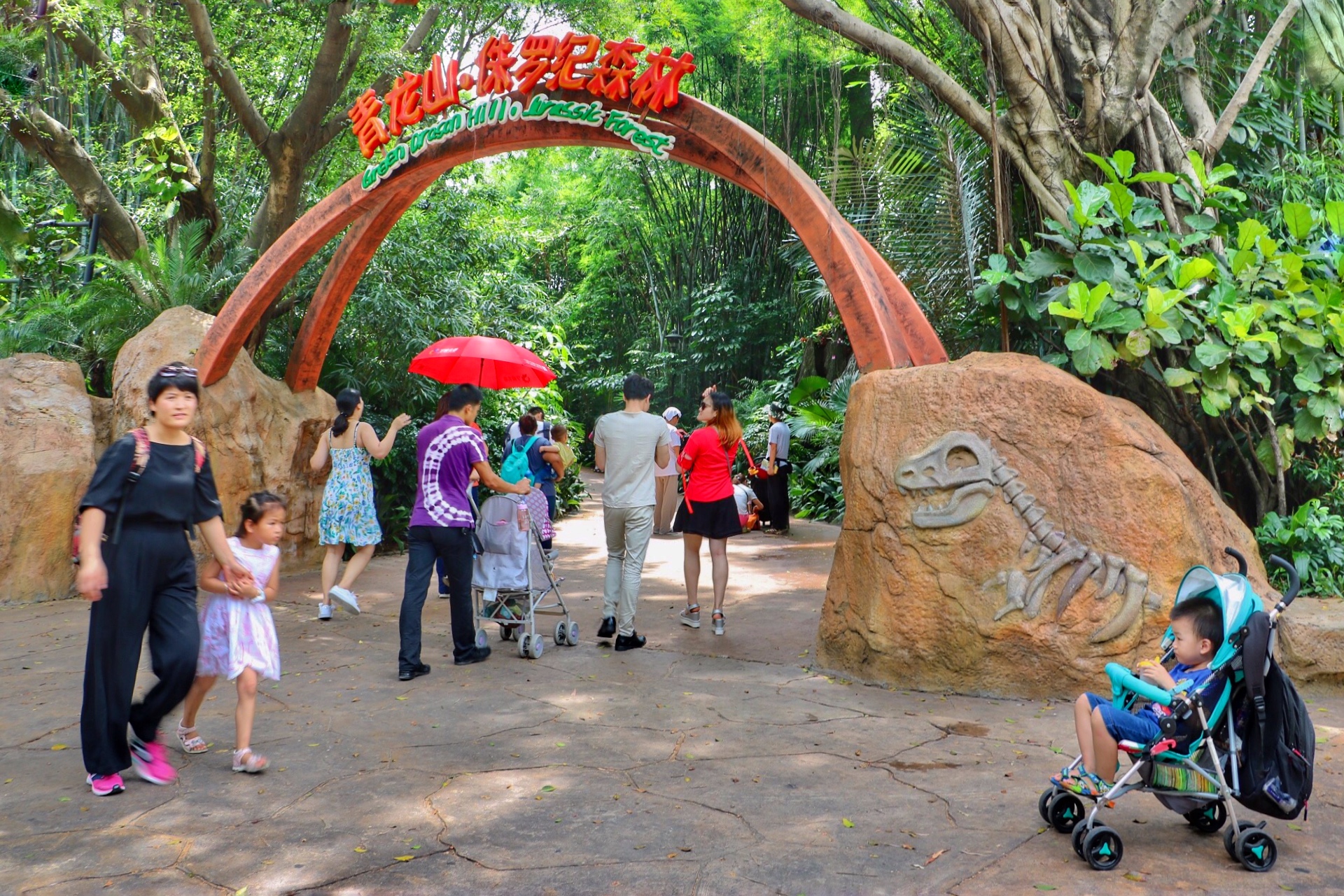 一月广州长隆野生动物园游玩攻略,长隆海洋王国不可错过