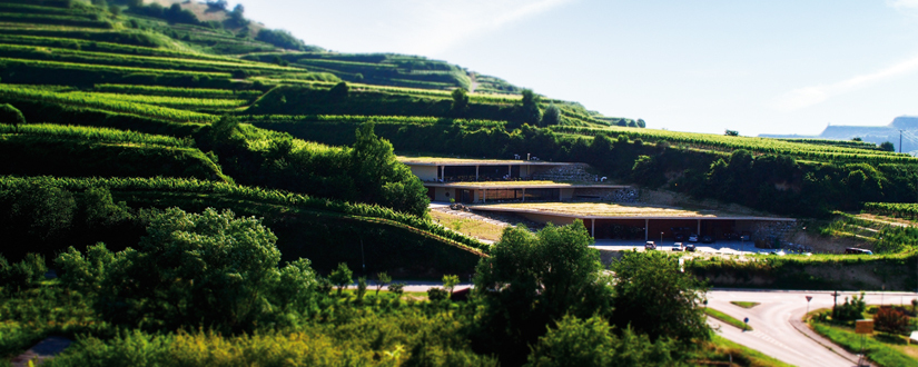 鍊煎緱鏀惰棌鐨勯浄鍙镐护,椋庨潯鍏ㄧ悆鐨勯浄鍙镐护